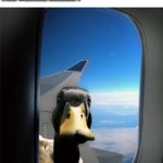 oh sh*t... | HERO OF THE HORROR MOVIE :

I ESCAPED HIM HE WILL NOT FIND ME HERE; THE SERIAL KILLER : | image tagged in duck on plane wing | made w/ Imgflip meme maker