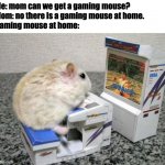Gaming mouse | Me: mom can we get a gaming mouse?
Mom: no there is a gaming mouse at home.
Gaming mouse at home: | image tagged in hamster arcade | made w/ Imgflip meme maker