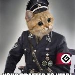 pepe is drafted to berlin war | PEPE; YOUR DRAFTED TO WAR! | image tagged in grammar nazi cat | made w/ Imgflip meme maker