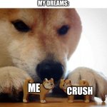 True story | ME: CRUSHING ON ANYONE
MY DREAMS:; ME; CRUSH | image tagged in dog now kiss,life,crush,dream | made w/ Imgflip meme maker