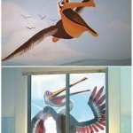 bird fly and stuck in window meme