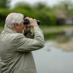 David Attenborough Searching