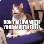 Fat Cat | DON'T MEOW WITH YOUR MOUTH FULL! | image tagged in fat cat | made w/ Imgflip meme maker