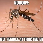 mosquito  | NOBODY:; THE ONLY FEMALE ATTRACTED BY ME :) | image tagged in mosquito | made w/ Imgflip meme maker