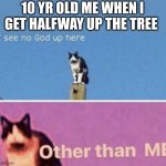 BTW the tree wasn't even that big but it was still like 20 feet tall | 10 YR OLD ME WHEN I GET HALFWAY UP THE TREE | image tagged in i see no god up here other than me,tree,past | made w/ Imgflip meme maker