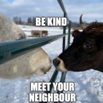 Be Kind | BE KIND; MEET YOUR NEIGHBOUR | image tagged in be kind,meet your neighbour,farm animals,bullying,no bull,anti-bullying | made w/ Imgflip meme maker