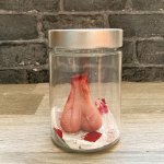 Legion testicles balls in a jar JPP