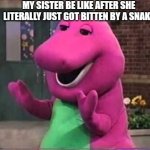 Barny | MY SISTER BE LIKE AFTER SHE LITERALLY JUST GOT BITTEN BY A SNAKE | image tagged in barny | made w/ Imgflip meme maker