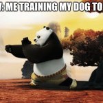 training dog sit | POV: ME TRAINING MY DOG TO SIT | image tagged in kung fu panda training | made w/ Imgflip meme maker