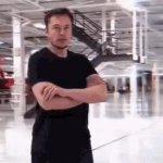 This is Elon Musk GIF Template