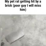 poor rat GIF Template