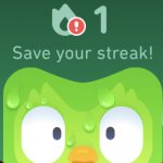 Duolingo scared meme