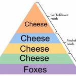 Maslow's Hierarchy of Needs | Cheese; Cheese; Cheese; Cheese; Foxes | image tagged in maslow's hierarchy of needs | made w/ Imgflip meme maker