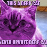 Never upvote Derp Cat | THIS A DERP CAT; NEVER UPVOTE DERP CAT | image tagged in raycat derp,memes | made w/ Imgflip meme maker