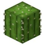 Minecraft Cactus