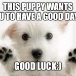 Have a good day=) | THIS PUPPY WANTS YOU TO HAVE A GOOD DAY=); GOOD LUCK:) | image tagged in cute dog,have a nice day | made w/ Imgflip meme maker