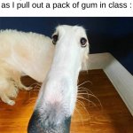 Did that happen to you ? | People I don't even know as soon as I pull out a pack of gum in class : | image tagged in memes,funny,let me do it for you,gum,school,front page plz | made w/ Imgflip meme maker