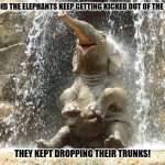Daily Bad Dad Joke March 1 2023 | WHY DID THE ELEPHANTS KEEP GETTING KICKED OUT OF THE POOL? THEY KEPT DROPPING THEIR TRUNKS! | image tagged in baby elephant | made w/ Imgflip meme maker