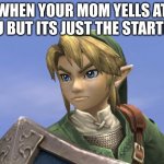 true | WHEN YOUR MOM YELLS AT YOU BUT ITS JUST THE STARTING | image tagged in link | made w/ Imgflip meme maker