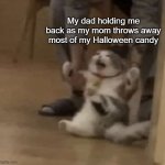 Angry Cat Being Dragged Away | My dad holding me back as my mom throws away most of my Halloween candy | image tagged in angry cat being dragged away | made w/ Imgflip meme maker
