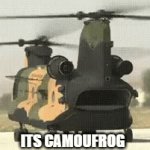 lol | ITS CAMOUFROG | image tagged in gifs,frog,funny memes,lol so funny | made w/ Imgflip video-to-gif maker