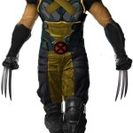 Wolverine costume with transparency