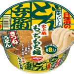 きつねうどん (Kitsume Udon) 2