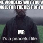 It’s a peaceful life | SOMEONE WONDERS WHY YOU WANT TO STAY SINGLE FOR THE REST OF YOUR LIFE. ME: | image tagged in it s a peaceful life | made w/ Imgflip meme maker