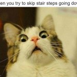 OH FRiCC | When you try to skip stair steps going down: | image tagged in memes,scared cat,oh no,funny,relatable memes,stairs | made w/ Imgflip meme maker