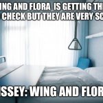 Getting blood checked. | (WING AND FLORA  IS GETTING THEIR BLOOD CHECK BUT THEY ARE VERY SCARED); BLISSEY: WING AND FLORA? | image tagged in hospital bed | made w/ Imgflip meme maker
