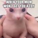 Bingus | WHEN YOUR MOM WON’T GET YOU A TOY | image tagged in bingus | made w/ Imgflip meme maker