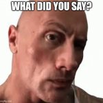 rock | WHAT DID YOU SAY? | image tagged in rock | made w/ Imgflip meme maker