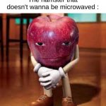 Why? WHY? | 5 y/o kid : I wanna get free robux !
The hamster that doesn't wanna be microwaved : | image tagged in rizz apple,memes,funny,roblox,robux,front page plz | made w/ Imgflip meme maker