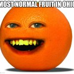 image title | MOST NORMAL FRUIT IN OHIO | image tagged in annoying orange | made w/ Imgflip meme maker