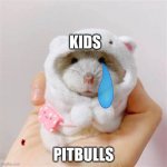pit bulls vs kids | KIDS; PITBULLS | image tagged in holding hamster | made w/ Imgflip meme maker