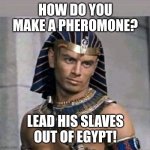 Works every time! | HOW DO YOU MAKE A PHEROMONE? LEAD HIS SLAVES OUT OF EGYPT! | image tagged in pharaoh,egypt,moses,bad pun,puns,bad puns | made w/ Imgflip meme maker