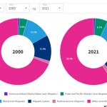 US racial demographics 2000 to 2021  JPP