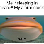 True | Me: *sleeping in peace* My alarm clock: | image tagged in helo fish | made w/ Imgflip meme maker