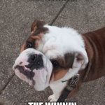 The winnin | THE WINNIN; THE WINNIN | image tagged in the winnin | made w/ Imgflip meme maker