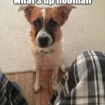 what's up hooman | god here.  what's up hooman | image tagged in what's up hooman | made w/ Imgflip meme maker