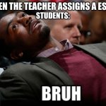 Pretty sure this was everyone | STUDENTS:; WHEN THE TEACHER ASSIGNS A ESSAY | image tagged in bruh | made w/ Imgflip meme maker