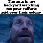they never see it coming | The ants in my backyard watching me pour sulfuric acid over their colony | image tagged in willem dafoe looking up,memes,acid | made w/ Imgflip meme maker