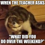 I have to ask my brother :p | WHEN THE TEACHER ASKS; "WHAT DID YOU DO OVER THE WEEKEND?" | image tagged in thinking cat,remember,school,teacher | made w/ Imgflip meme maker