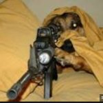 dog with gun template