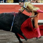 Bullfighter