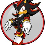 Shadow the Hedgehog