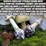 Death cap | image tagged in death cap | made w/ Imgflip meme maker