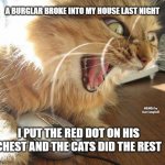 angry cat | A BURGLAR BROKE INTO MY HOUSE LAST NIGHT; MEMEs by Dan Campbell; I PUT THE RED DOT ON HIS CHEST AND THE CATS DID THE REST | image tagged in angry cat | made w/ Imgflip meme maker