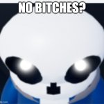No Sans? | NO BITCHES? | image tagged in no sans | made w/ Imgflip meme maker