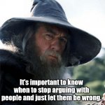 Life Advice | Life Advice:; It's important to know when to stop arguing with people and just let them be wrong. | image tagged in wizard,wisdom,life advice,life lessons | made w/ Imgflip meme maker